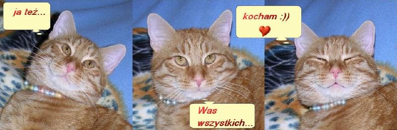 Obrazek