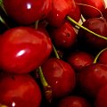 Cherries XD