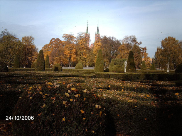 Bialystok/jesien w palacowym parku