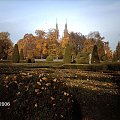 Bialystok/jesien w palacowym parku
