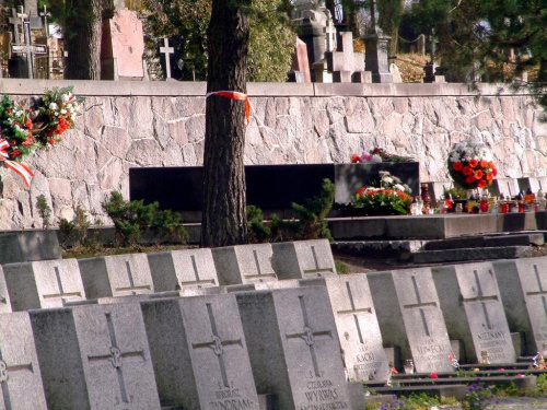 Rossa cmentarzyk wojskowy #RossaCmentarz