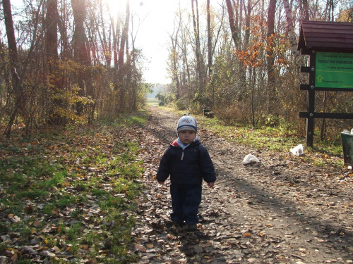 Jesień w Lasku Marcelińskim 5.11.2007