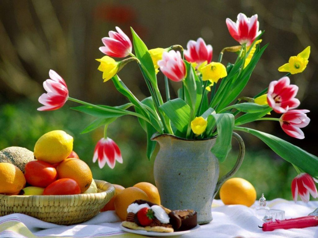 tulipany