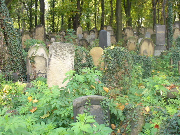 Cmentarz Żydowski w Krakowie #cmentarz #groby #Kraków