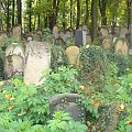Cmentarz Żydowski w Krakowie #cmentarz #groby #Kraków
