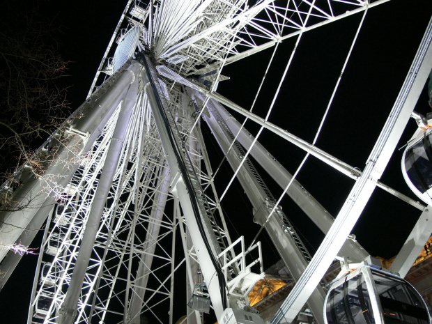 belfast eye and xmas tree