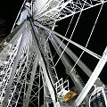 belfast eye and xmas tree