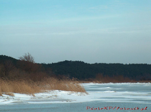 Krynica 2007r.(wiosna) #Bałtyk #KrynicaMorska #Zima #Morze #Plaża #Urlop #Wczasy #Wypoczynek #ZalewWiślany