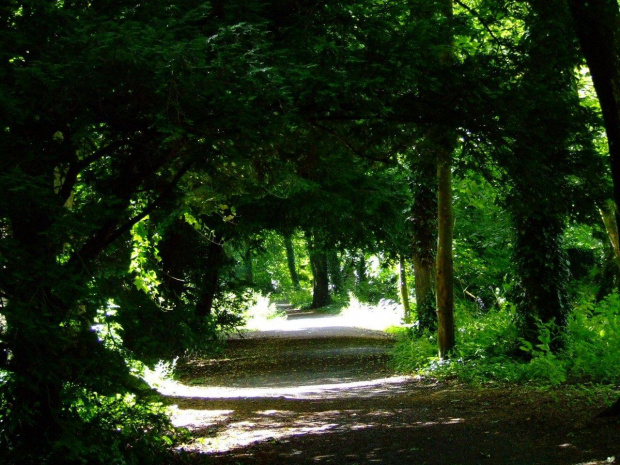 kilkenny castle park #kilkenny #irlandia