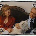 Pensjonat pod różą #MagdalenaWalachPensjonat