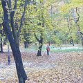 park Bednarskiego #park