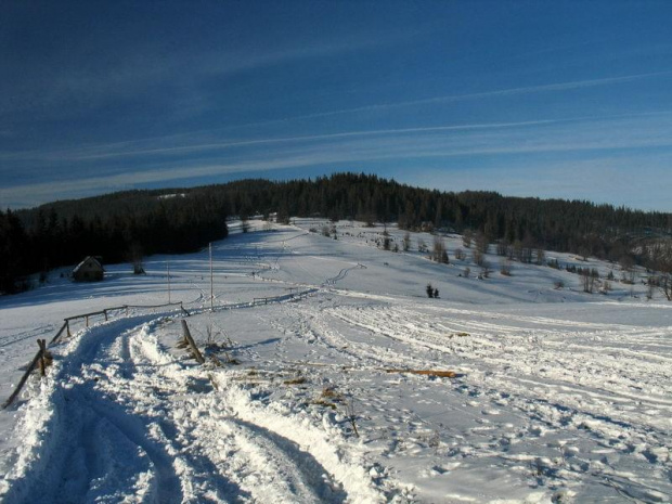 Prusów z Boraczej nie robi wrażenia #góry #BeskidŻywiecki