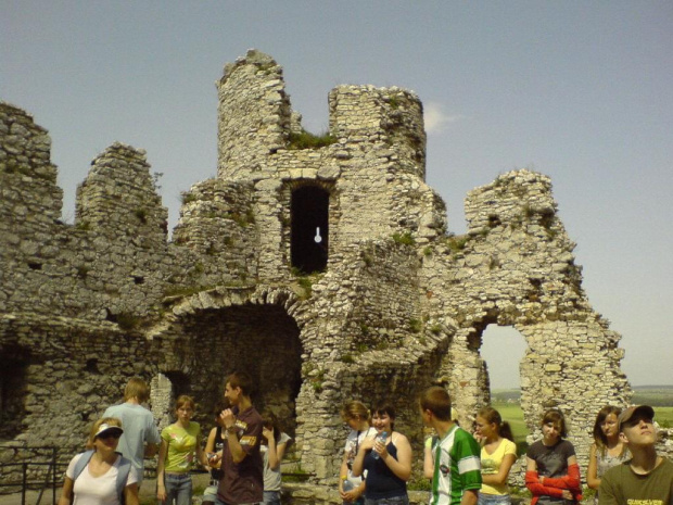Widok na wieżę zamku