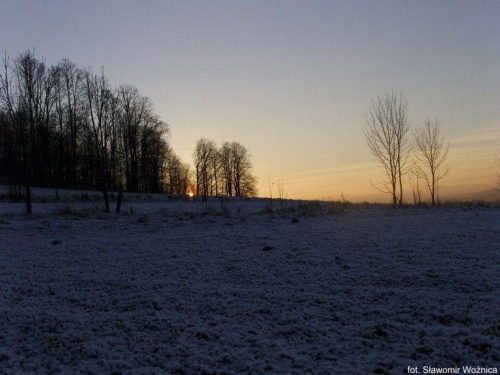 #las #drzewa #śnieg #pole #łąka #ZachódSłońca