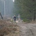 13 stycznia 2008