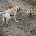 13 stycznia 2008