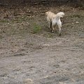 13 stycznia 2008