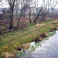 rz.Narew