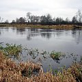 rz.Narew