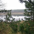 rz.Narew