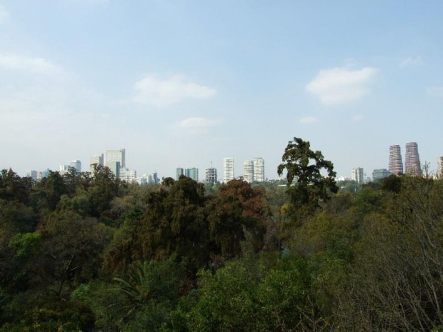 Chapultepec #MiastoMeksyk #MexicoCity #Chapultepec