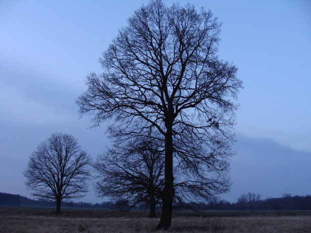 Widoki nad Bobrem #Przyroda #widoki #rzeka #woda