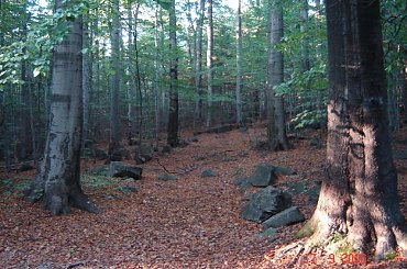 Sleza. Od nazwy tej gory nazwe wzielo plemie slezan, a od plemienia nazwa kraju Slask. #Sobotka #Sleza #Slask #Silesia #DolnySlask
