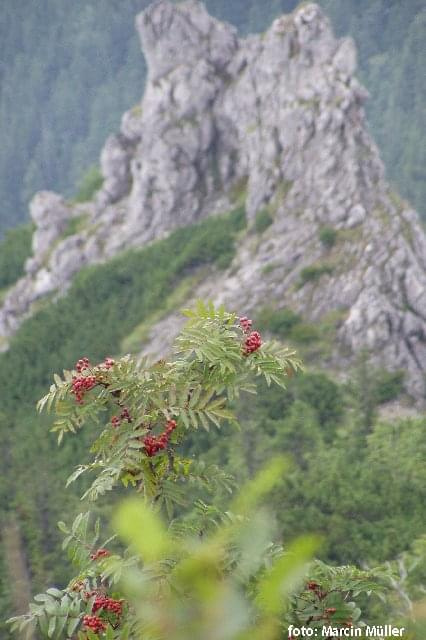 Tatry