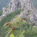 Tatry