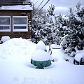 moja zima, 7 lutego 2008 #zima #Toronto #Canada