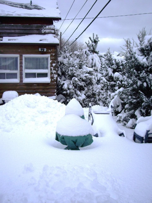moja zima, 7 lutego 2008 #zima #Toronto #Canada