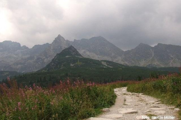 Tatry