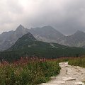 Tatry