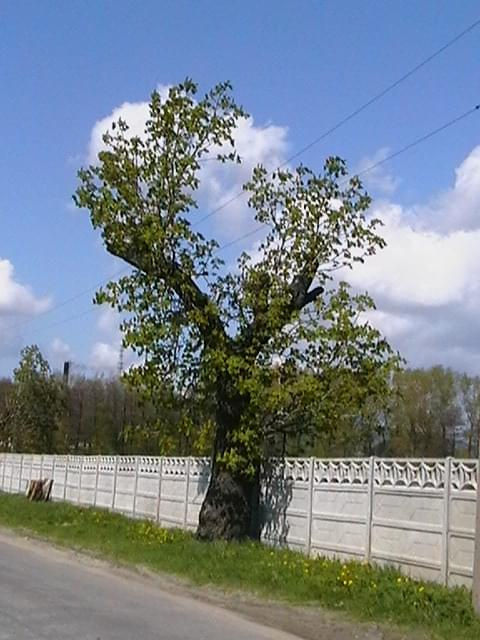 #Ostroszowice