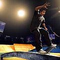 EA Skate Screens