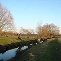 kłaniające sie wierzby:) #park #RichmondPark #rzeka