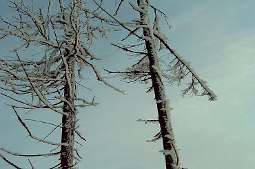 Turbacz 28-31 Stycznia 2008 #Matys #turbacz #podhale #gorce #gpn #czolo #turbacza