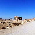 Palmyra