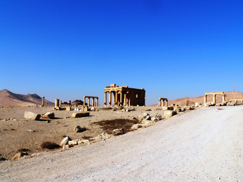 Palmyra