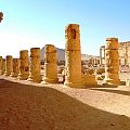 Palmyra