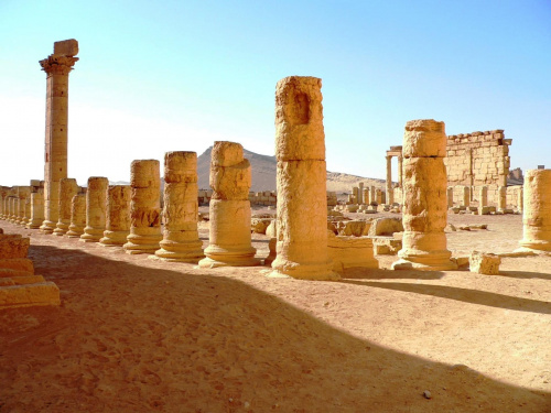 Palmyra