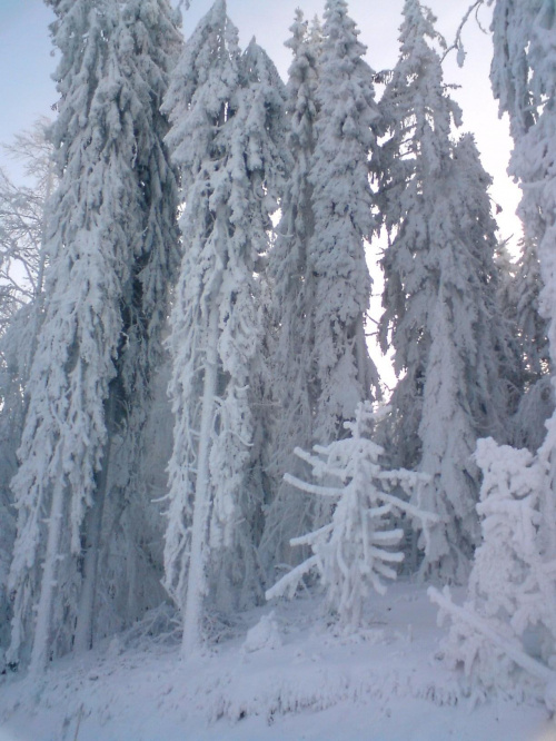 Słotwiny 23.12.07.