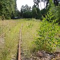 #Tomaszów #TRS #Trainz #Kolej #pociąg #Glinnik