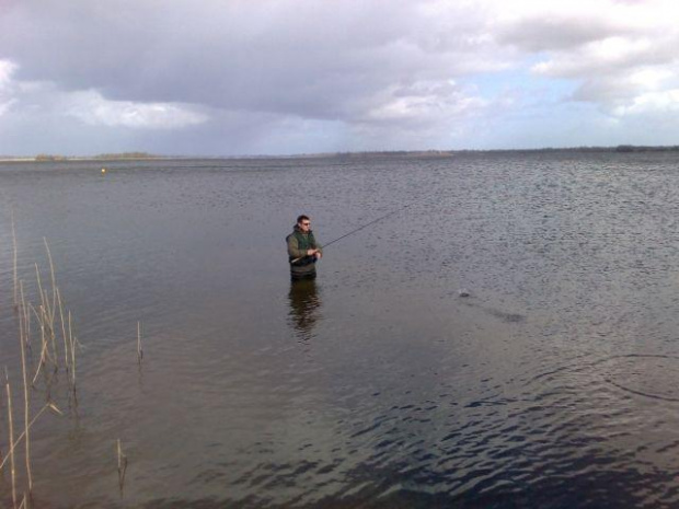 Lough Enell (Ireland)