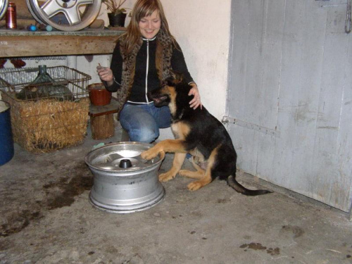 pucu pucu... :)