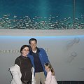 Monterey Bay Aquarium