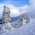 karkonsze #zima #góry #karkonosze