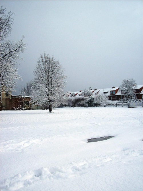 ZIMA Gdańsk.