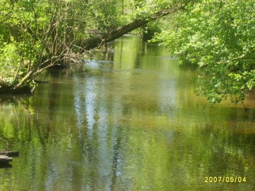 Rzeka Pliszka