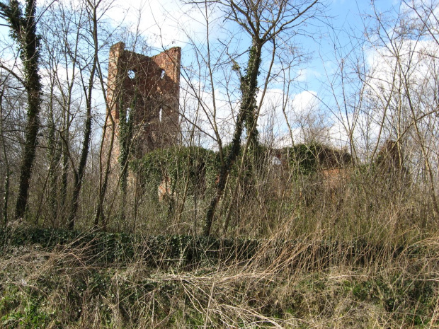Ruiny kościoła w Spudłowie woj.Lubuskie #spudłów #ruiny #kościół #zabytek